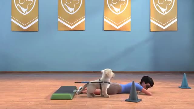 Dog training a short animated film