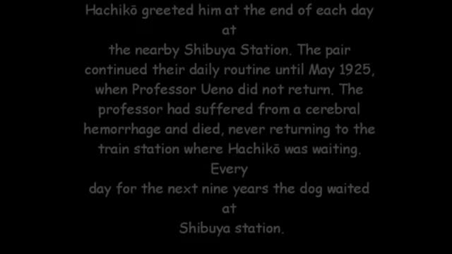 81-Year-Old Rare Photo of the Famous Hachiko Found