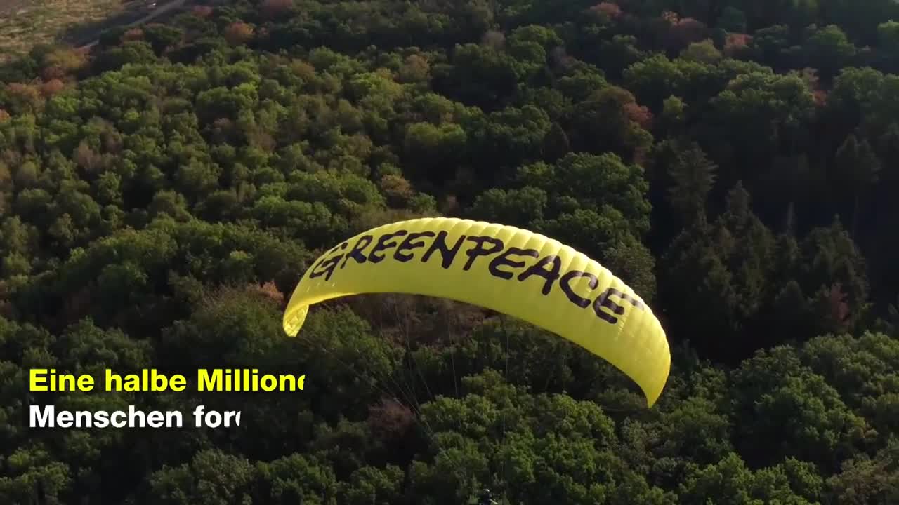 Mit dem Gleitflug über den Hambacher Forst