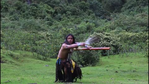 The music of nature since 500 years ago