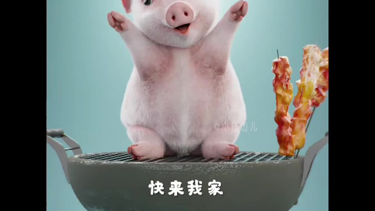 Pig amazing dance cute animal cartoon 😮💝💖