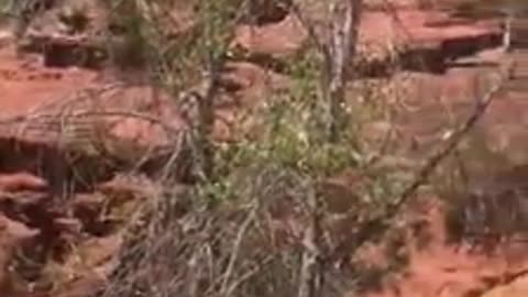 Seven Sacred Pools Sedona Arizona