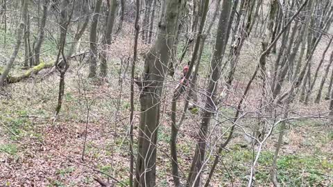 Enduro Riding Never Lean Back on a Hill Climb