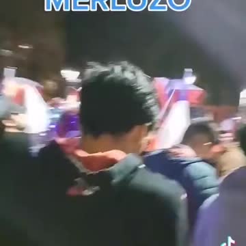 PUUUTAAASSS QUE LO QUIEREN AL WEON DEL MERLUZO..