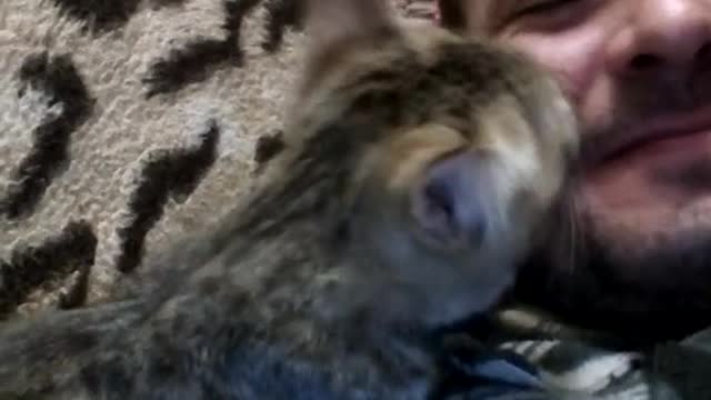 favorite pets