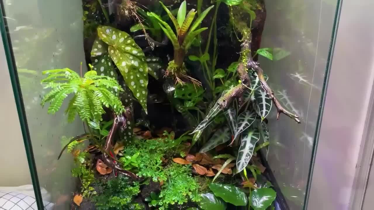 One Year Ago I Built an Ecosystem, This Happened