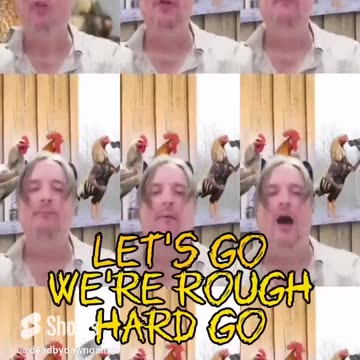We're #rough, we're #hard. We're ready to go. What should we do_