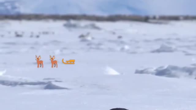 Adélie penguins tobogganing in line 🇦🇶 Cape Hallett