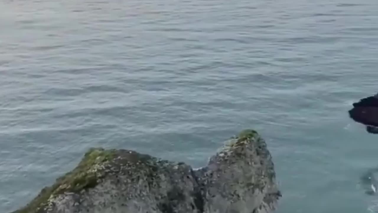 To be or not to be reflection time