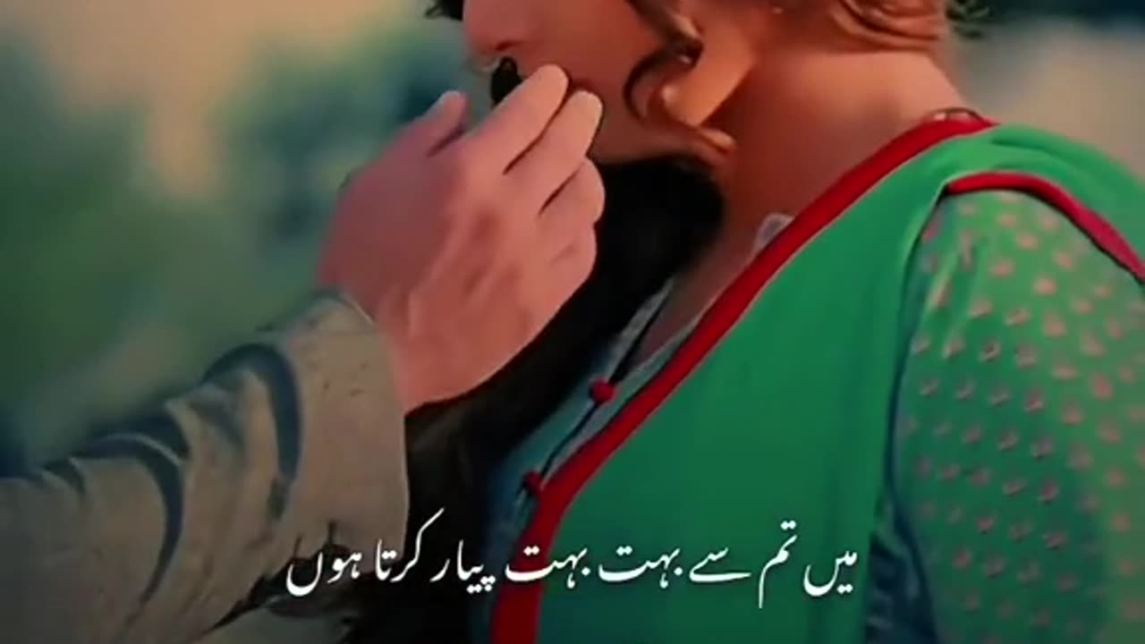 hansi ban gai