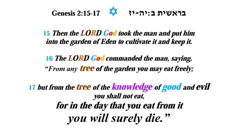 God's Garden in Eden