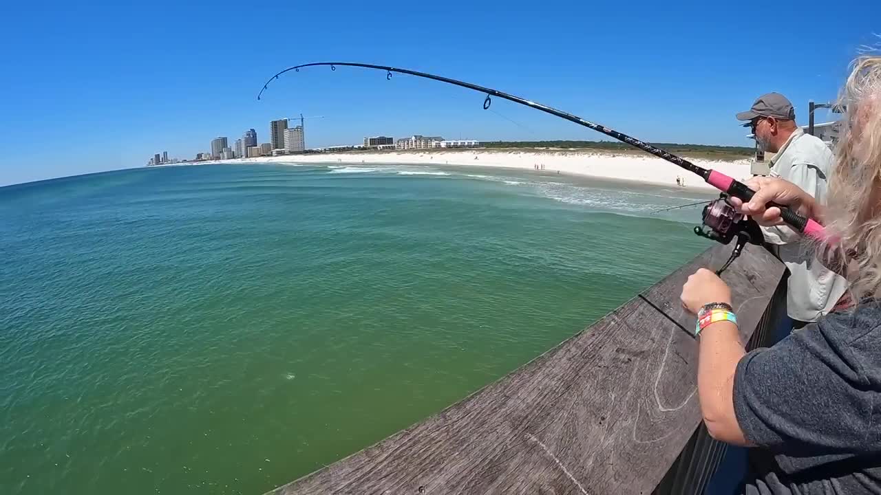 Saltwater PIER FISHING with Shrimp!