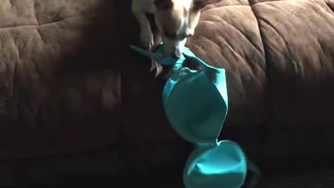 My Bra Is Bigger Than Loki!