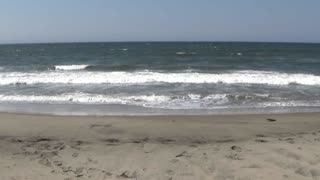 Moss Landing, CA — Zmudowski State Beach #1