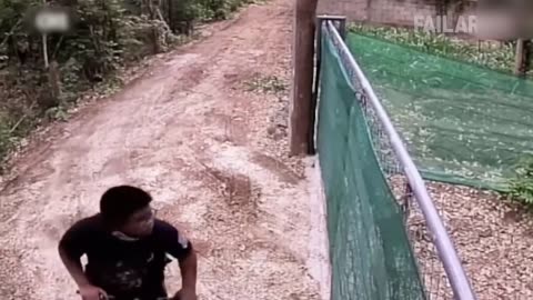 🔴 Damn Nature You Scary | Funny Scary Animal Encounters