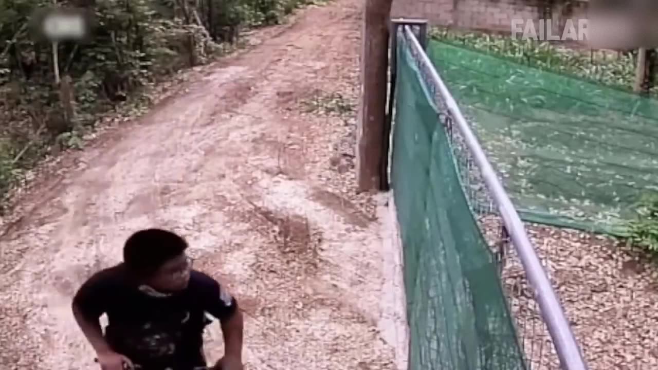 🔴 Damn Nature You Scary | Funny Scary Animal Encounters