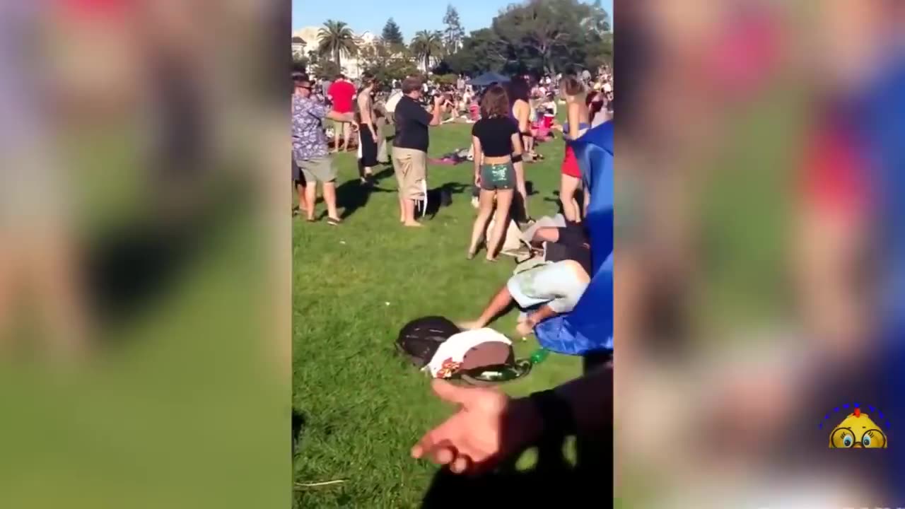 The best drunk people compilation