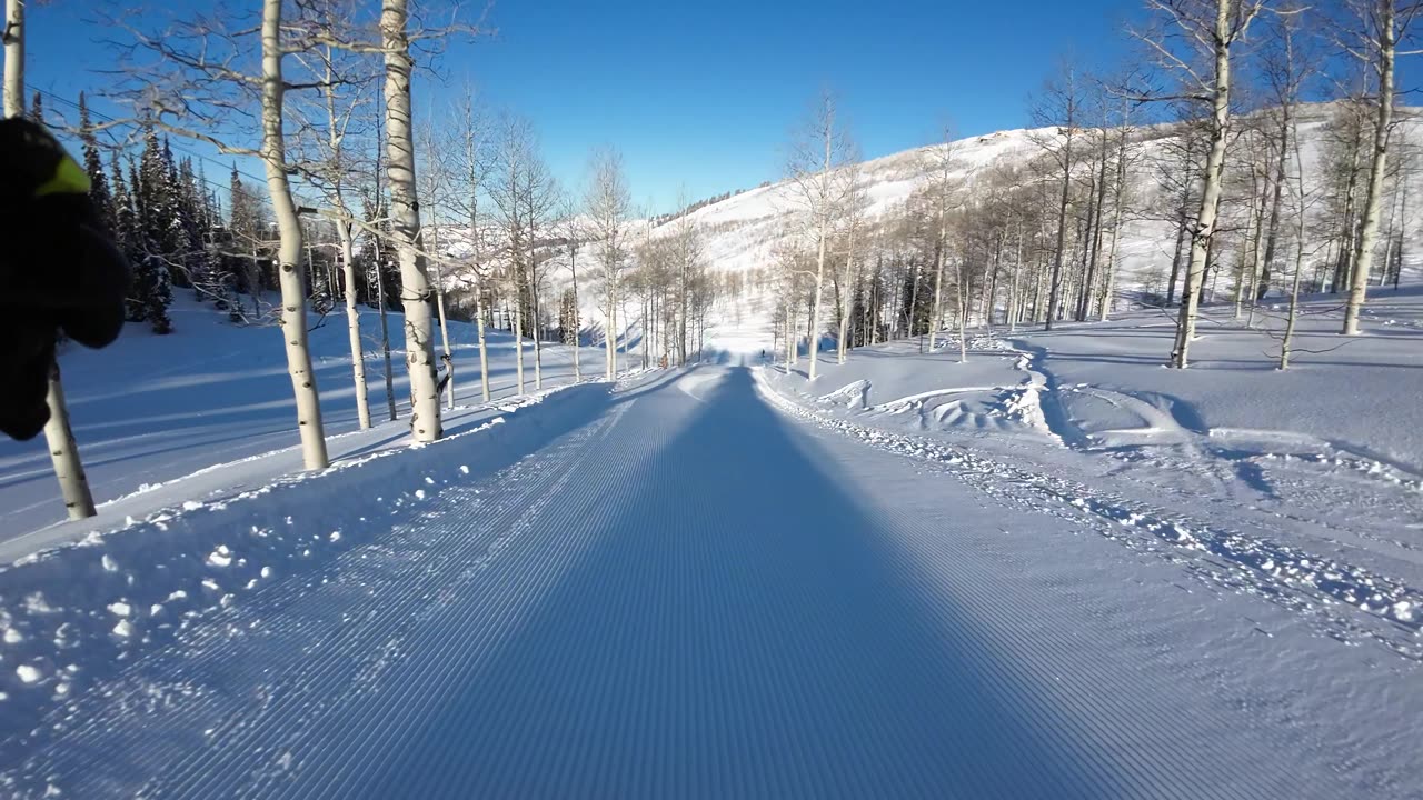 3/16 #2 a great way to start the day Bluebird day