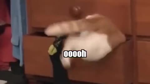 Looking for your siblings stash