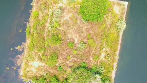 The Cool Palace of King Parakramabahu – Parakrama Samudraya 🍀☘️