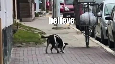 I'll just be on my way