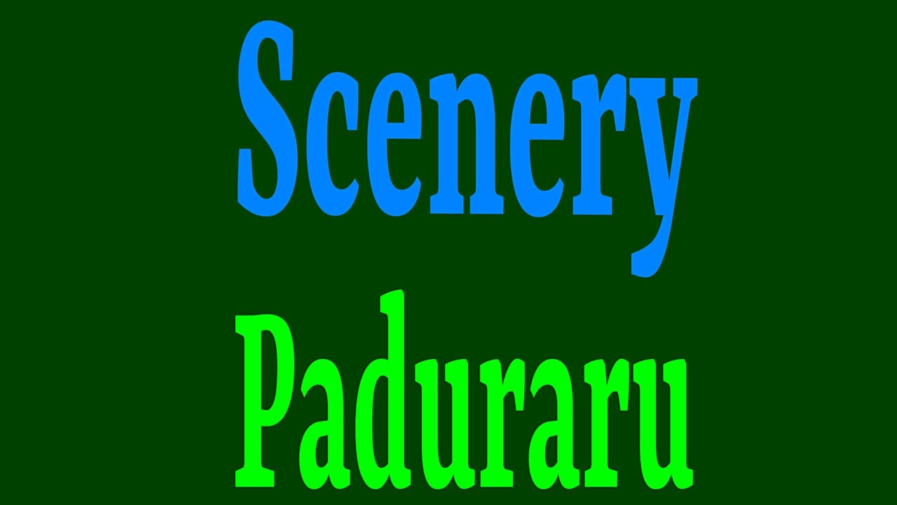 SN SceNery Gym Hymnastics Paduraru Floor Music Workout Mix