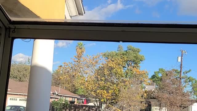 Stalkrs up above my house