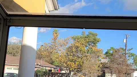 Stalkrs up above my house