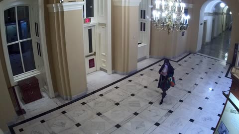 0153USCH01HouseWingDoor_2021-01-05_17h40min02s293ms.mp4