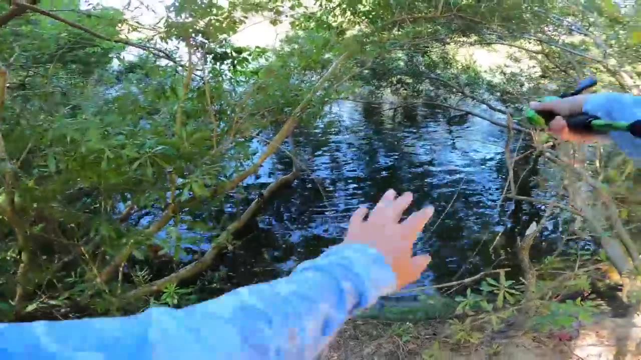 Topwater ONLY Day of Pond Fishing! (LOADED)