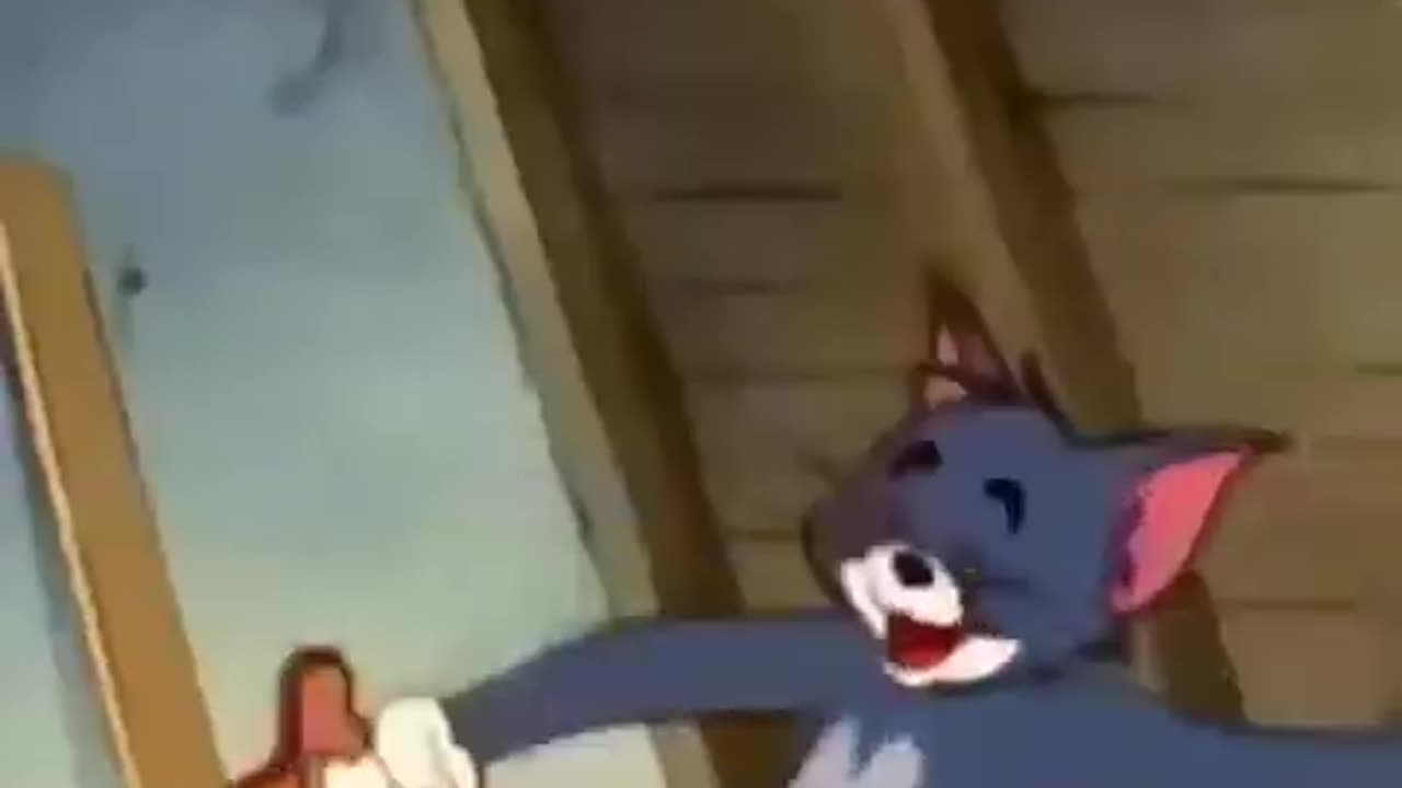 Tom and Jerry funny video