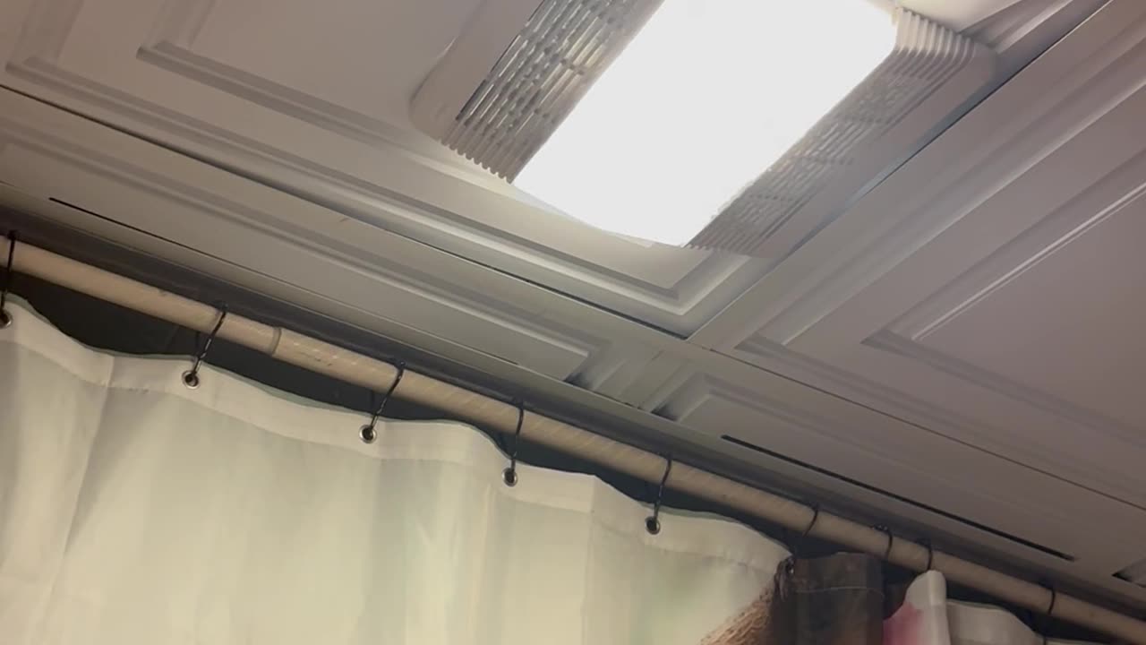 Cat Bursts Through Bathroom Ceiling