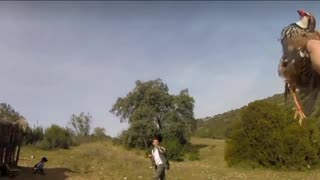 Hunter Catches Bird Shot From the Sky