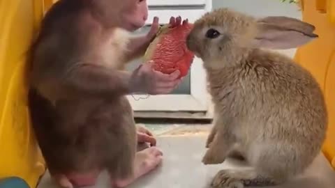 Friends