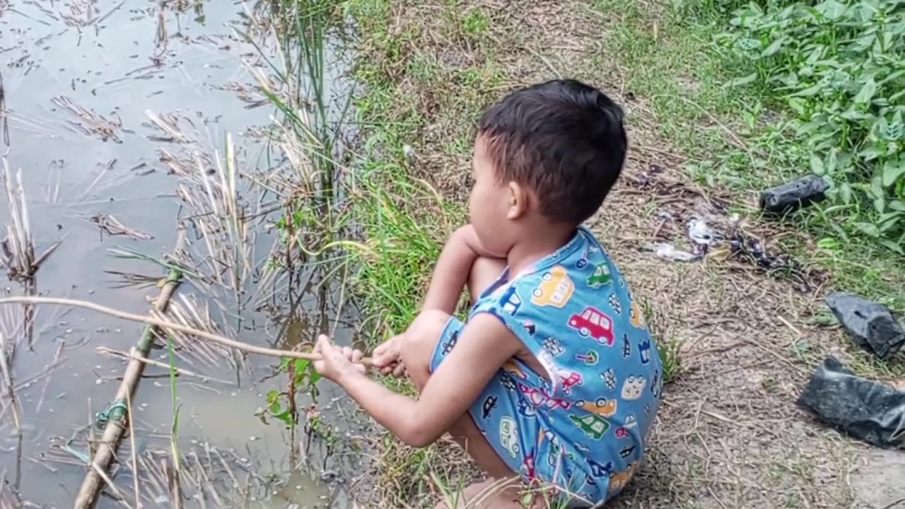 Fishing On The Paddy Field Used Fishing Rods