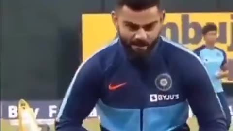 funny cricket shots