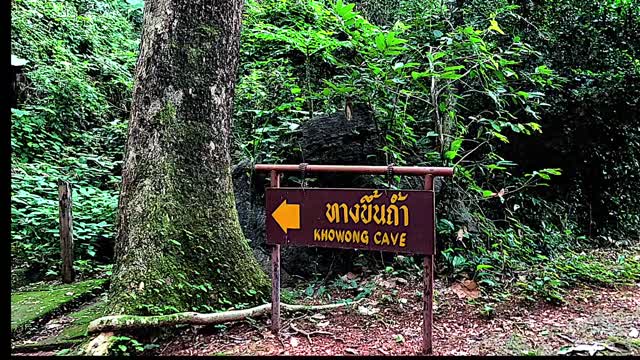 BANGKOK to RAYONG by motorbike / Wong caves, Laem Mae Phim beach, Wat Pa Pradu/ Thailand Travel Vlog