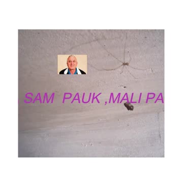 Mali Pauk