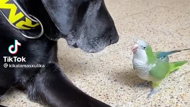 Friendship