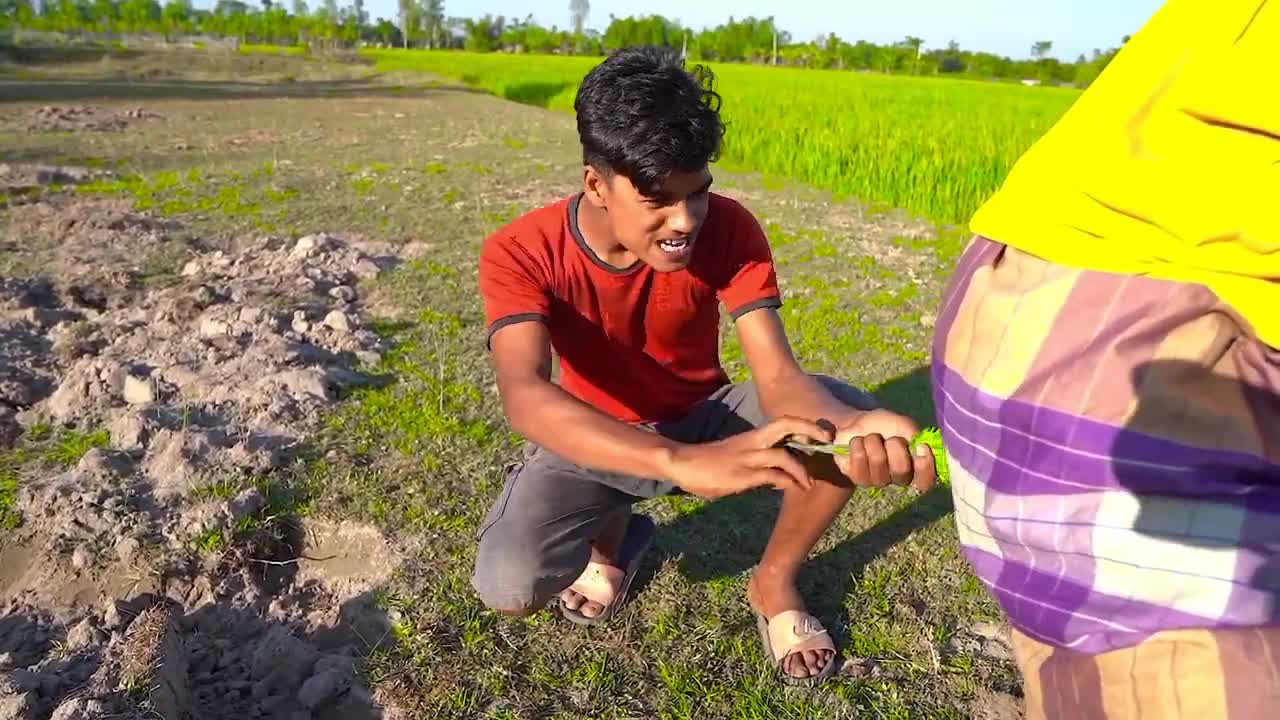 Tui tui funny video😂tui tui funny challenging video
