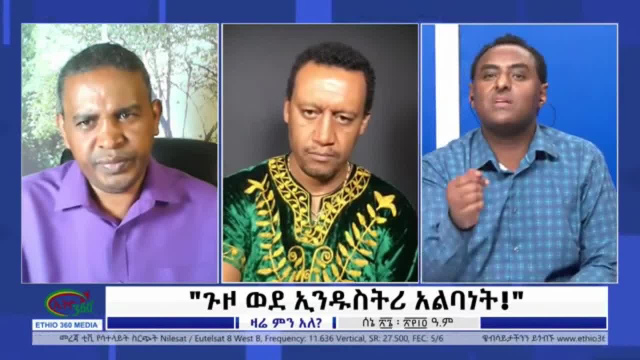 የኦህዴድ የተረኝነት ምስለኔ - ሀብታሙ አያሌው