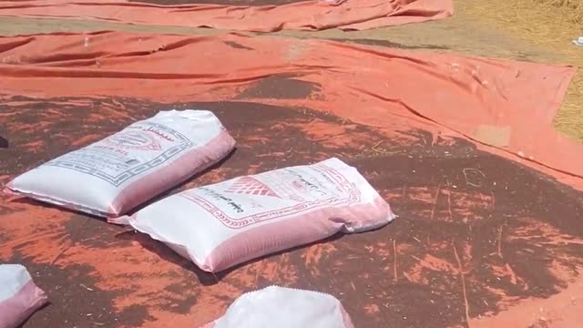 Mustered Harvested Making Moisture Less