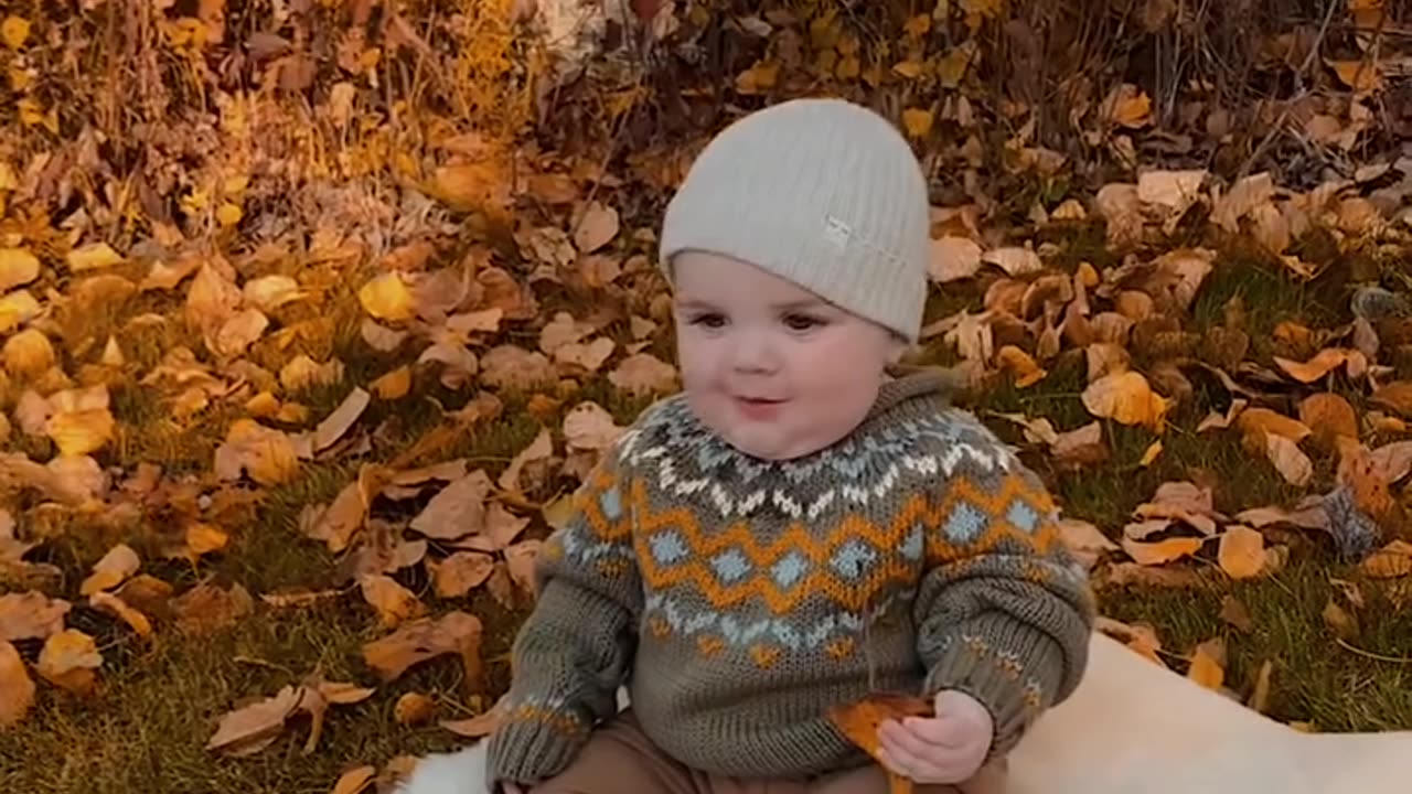 Sunnyworld007/shorts/viral/video/crazy moments/cat/dog/kids/babies/animal