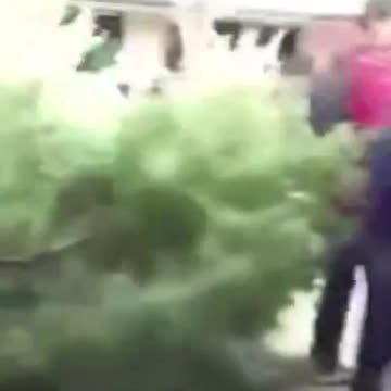 White Girl Defends Herself