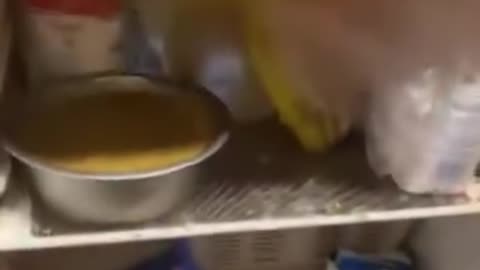 Borsodban még a holland (?) is cigány