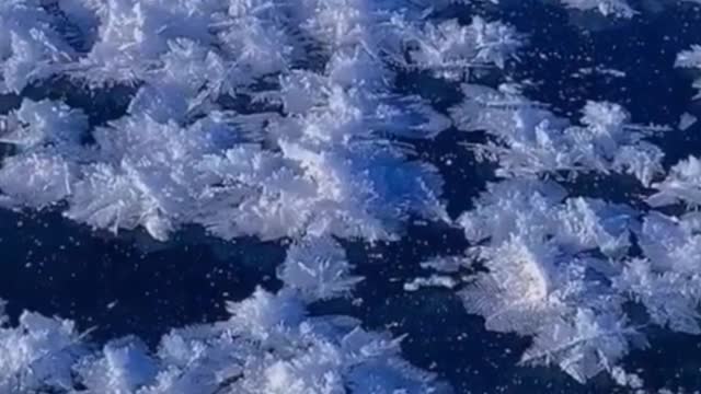 Nature is amazing! So many forms of water forming ice!