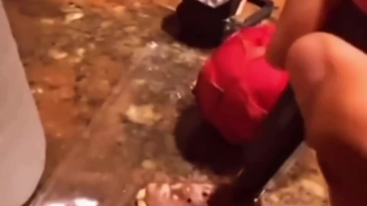 Are you eating dead unenergised foods with no nutritional value?