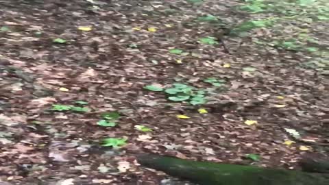 Shots of close combat with the Russian invaders.