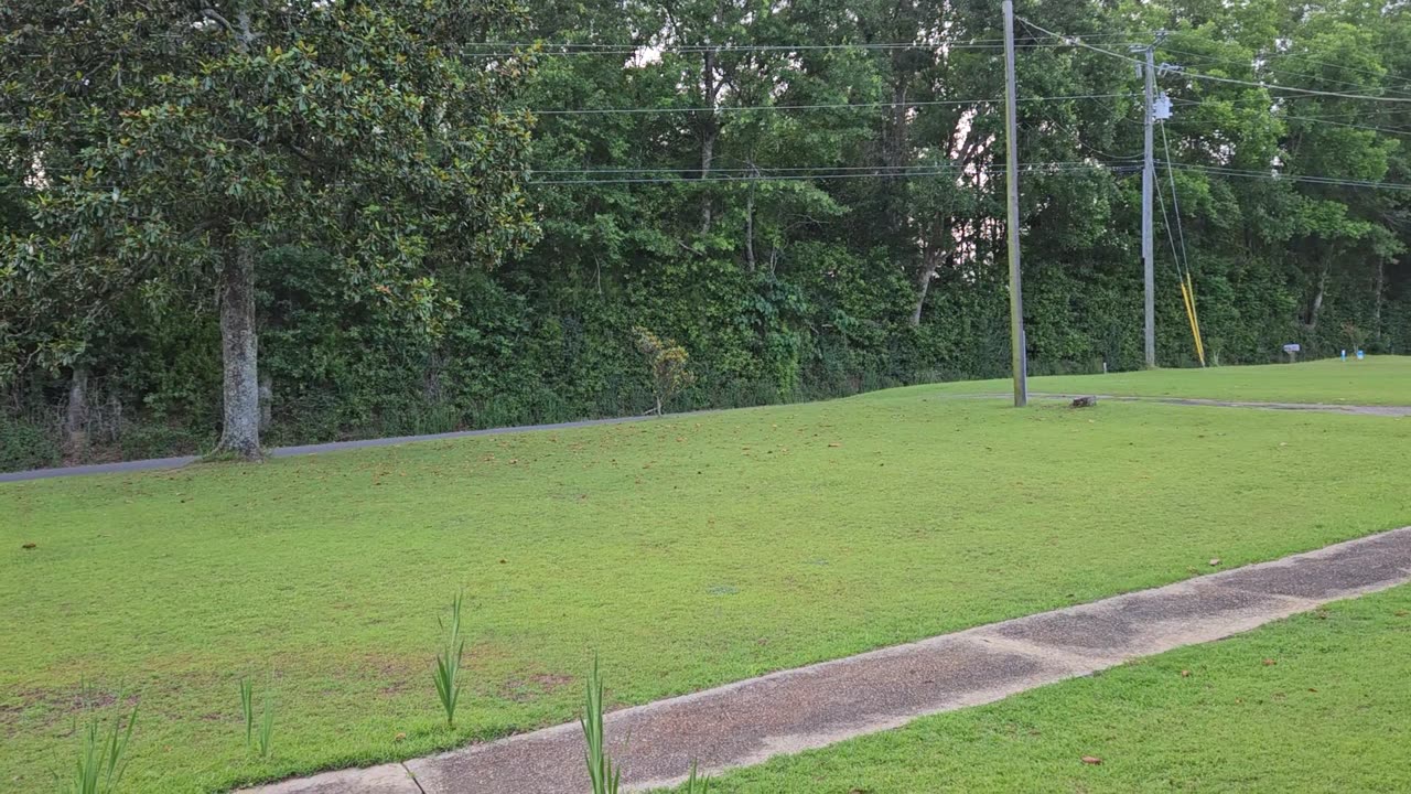 GSG Porch Report 310523