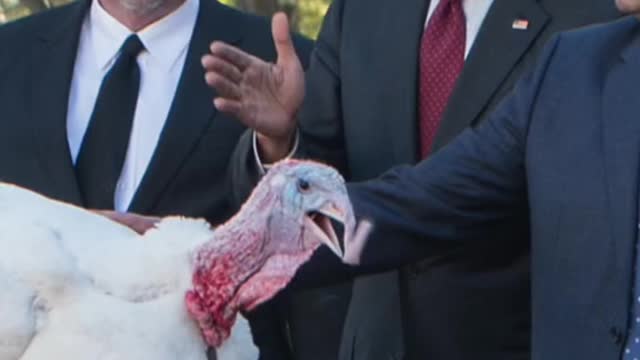 When you remember the annual turkey pardon exists